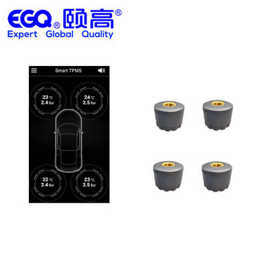 Passenger Car Tire Pressure Monitoring System